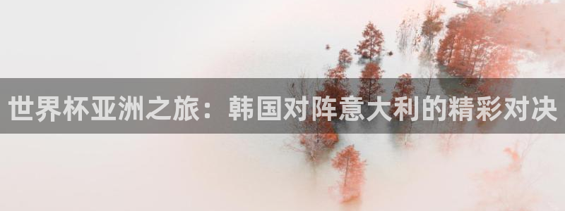 2026 世界杯:世界杯亚洲之旅:韩国对阵意大利的精彩对决