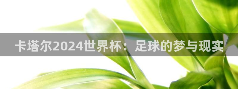 2026世界杯亚洲区预选赛:卡塔尔2024世界杯:足球的梦与现实