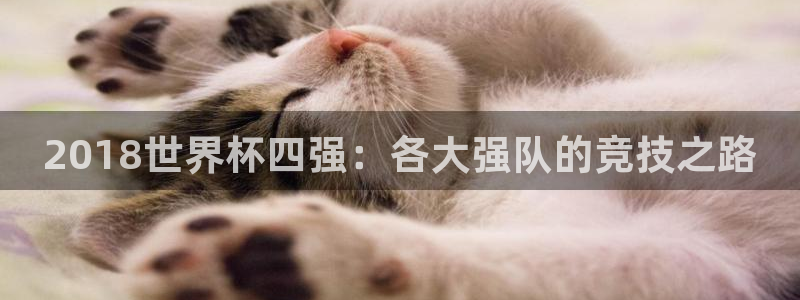 联赛杯直播:2018世界杯四强:各大强队的竞技之路