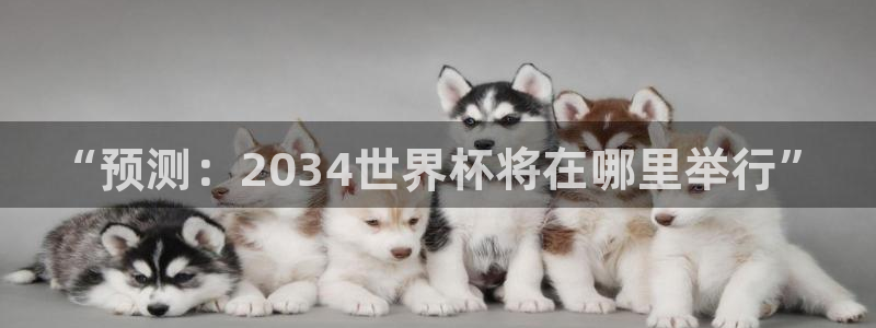 世界杯足球比赛:“预测:2034世界杯将在哪里举行”